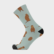 Load image into Gallery viewer, Cutie Quokka Bamboo Socks